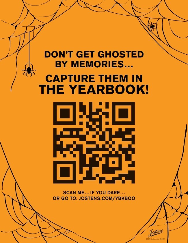 spider and spiderwebs and QR code