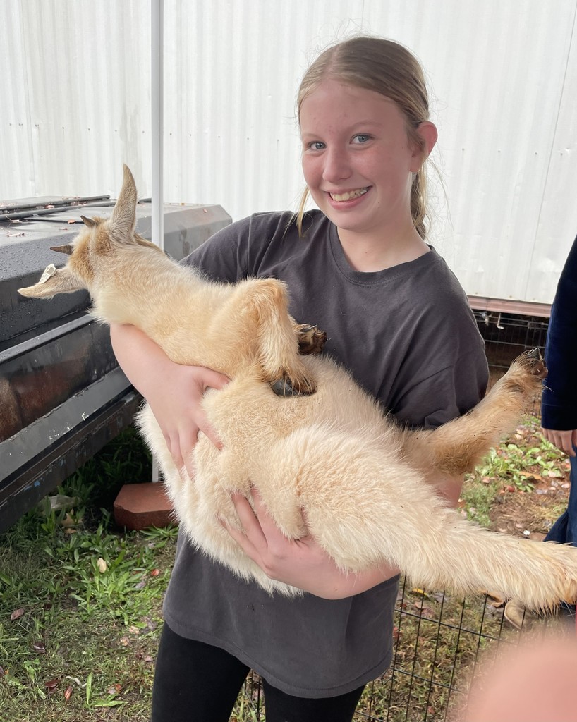 SWRMS 7th Grade Agriculture Day got cut short by the rain on October 28 but  students made the best of it and ventured over to SWRHS to get a hands on experience of the courses offered in the agriculture program