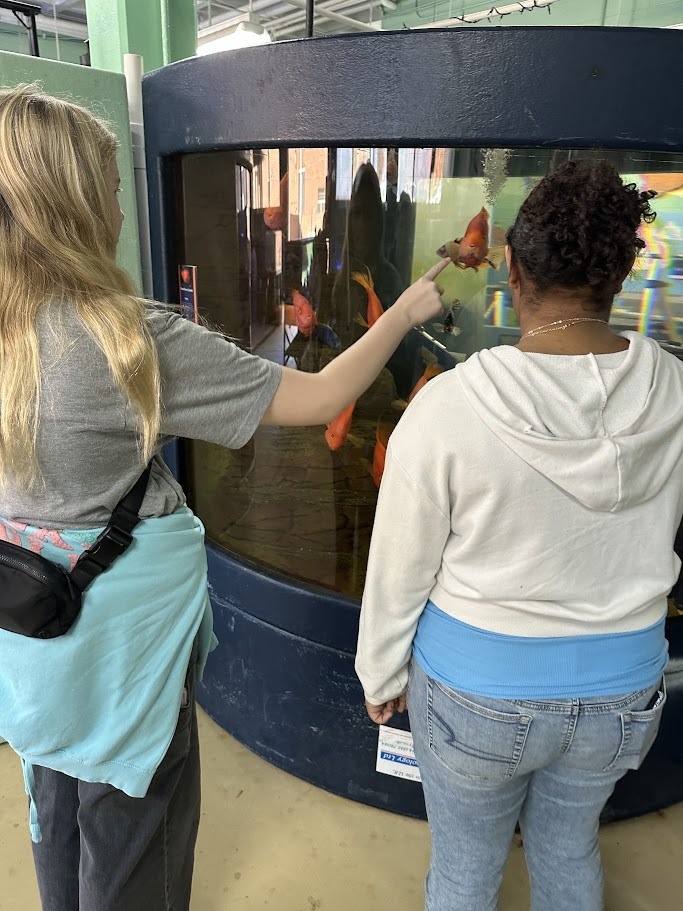 Randleman Middle School 7th-graders toured Davidson-Davie Community College to learn about various opportunities in dental assisting, cosmetology, zoo and aquarium programs, and other health fields. Students learned about the college and career promise courses available in high school, and early college opportunities starting in 9th grade. Students had a chance to explore the gym and fitness center that are available to all students and other amenities.  