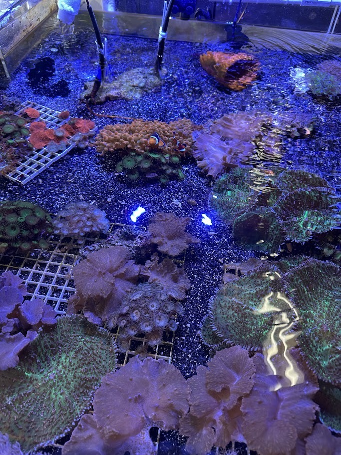 Randleman Middle School 7th-graders toured Davidson-Davie Community College to learn about various opportunities in dental assisting, cosmetology, zoo and aquarium programs, and other health fields. Students learned about the college and career promise courses available in high school, and early college opportunities starting in 9th grade. Students had a chance to explore the gym and fitness center that are available to all students and other amenities.  