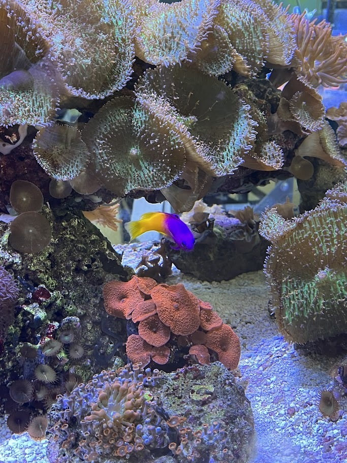 Southeastern Randolph Middle School students toured Davidson Davie Community College to learn about various opportunities in dental assisting, cosmetology, zoo and aquarium programs, and other health related fields. Students learned about the college and career promise courses available in high school and early college opportunities starting in 9th grade. Students had a chance to explore the gym and fitness center that are available to all students.