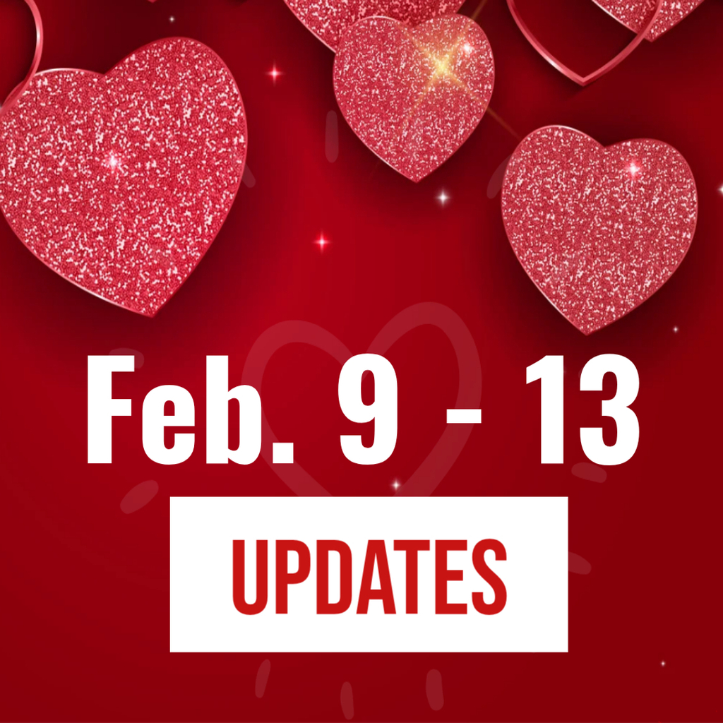 Weekly Updates 2.9-2.13