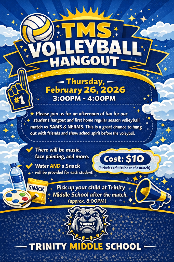 Volleyball Hangout Flyer