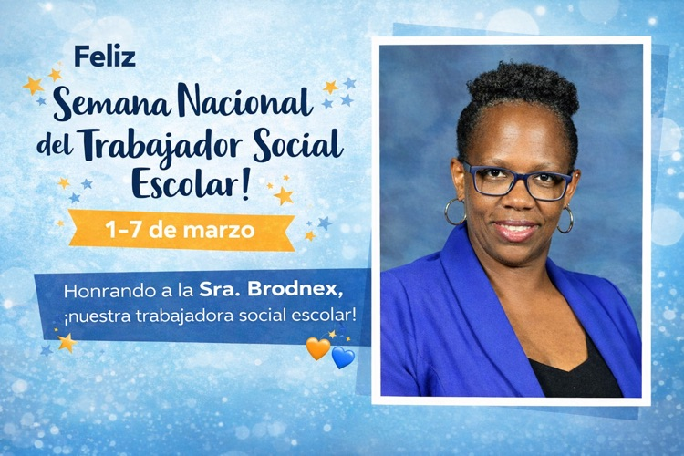 school social worker