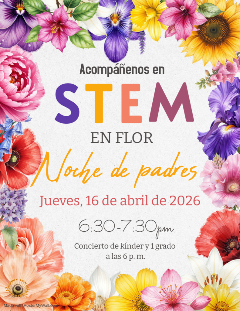 STEM Night Flyer Spa