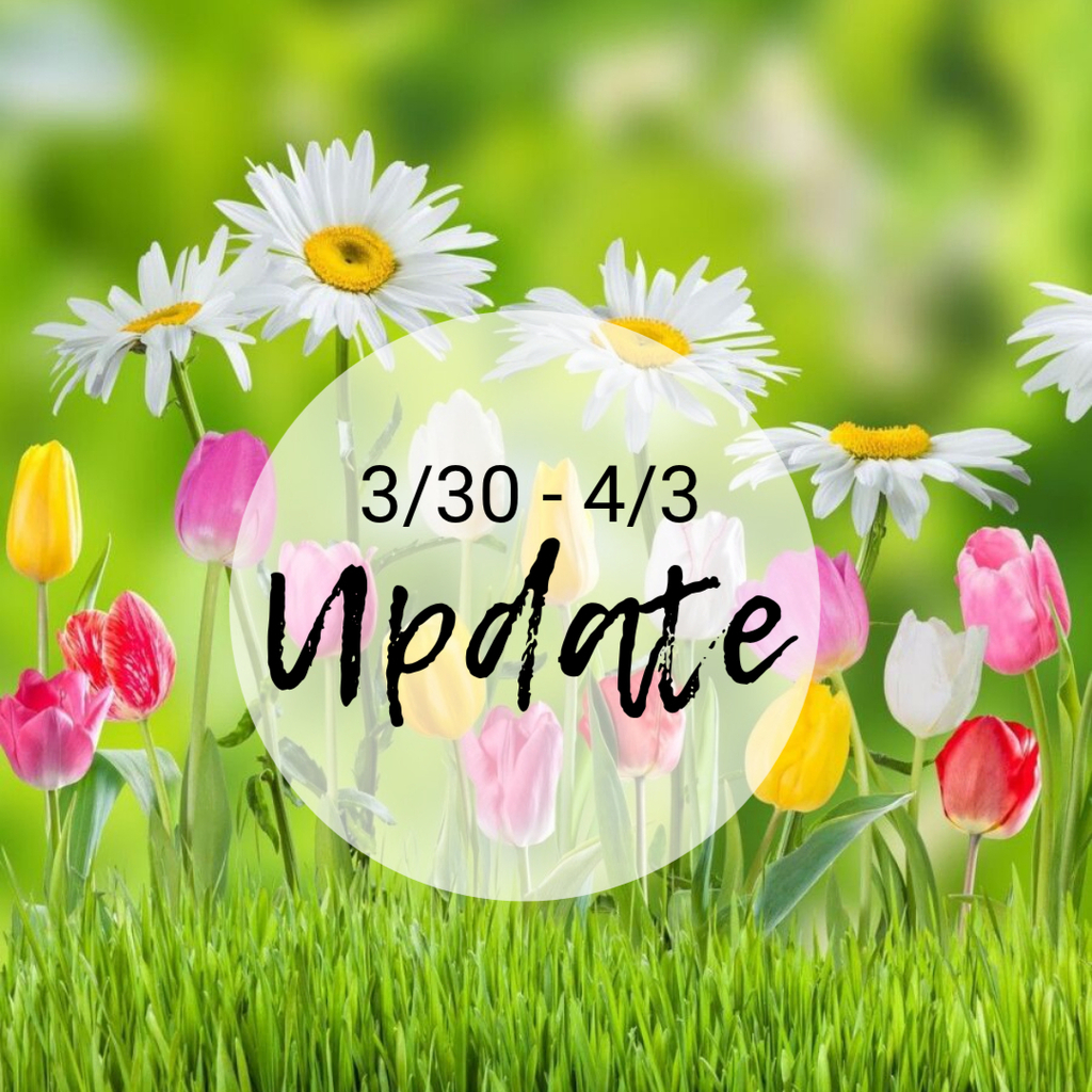 3/30-4/3 Update