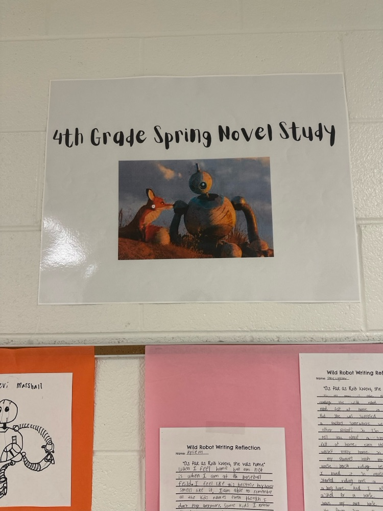 student writing samples about The Wild Robot novel