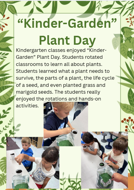 Kindergarten