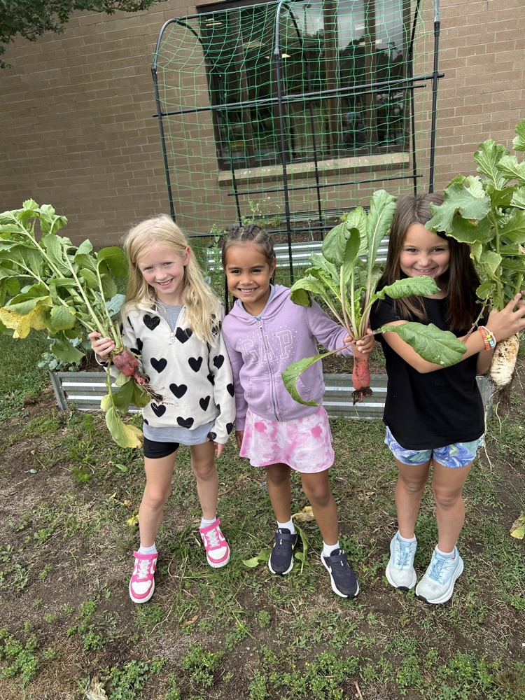 First grade picked their first harvest from this year’s garden! 🫛