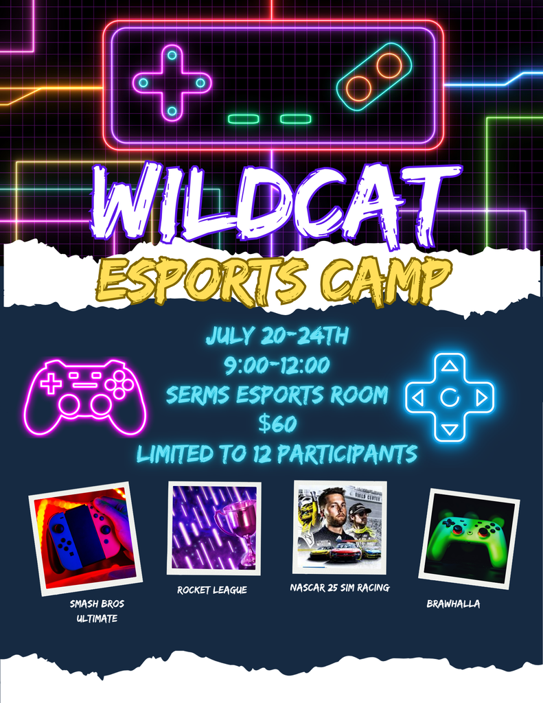 Summer Esports Camp