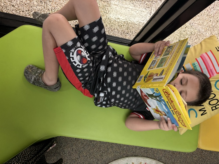 reading in the media center