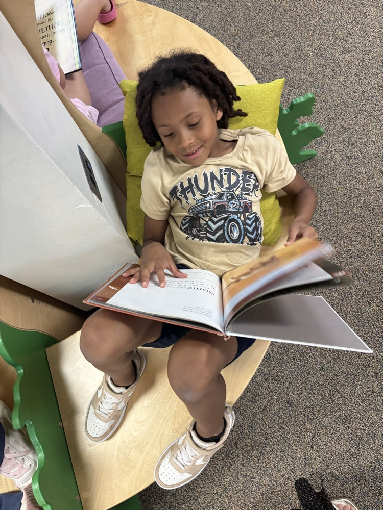 reading in the media center