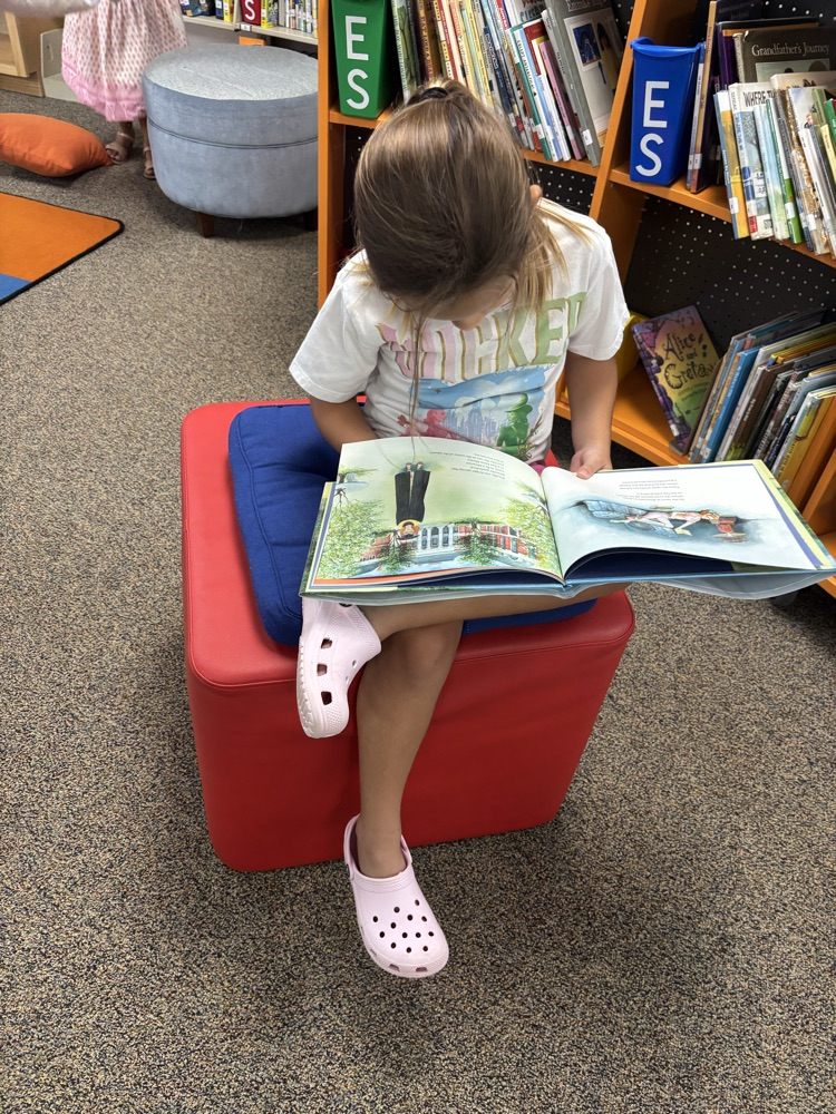 reading in the media center