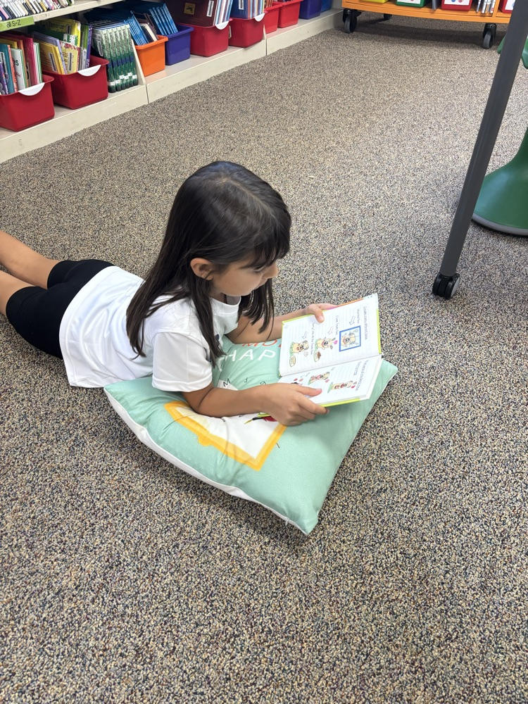 reading in the media center
