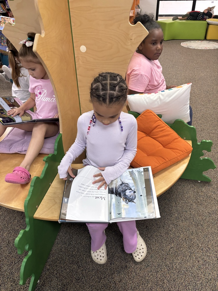reading in the media center