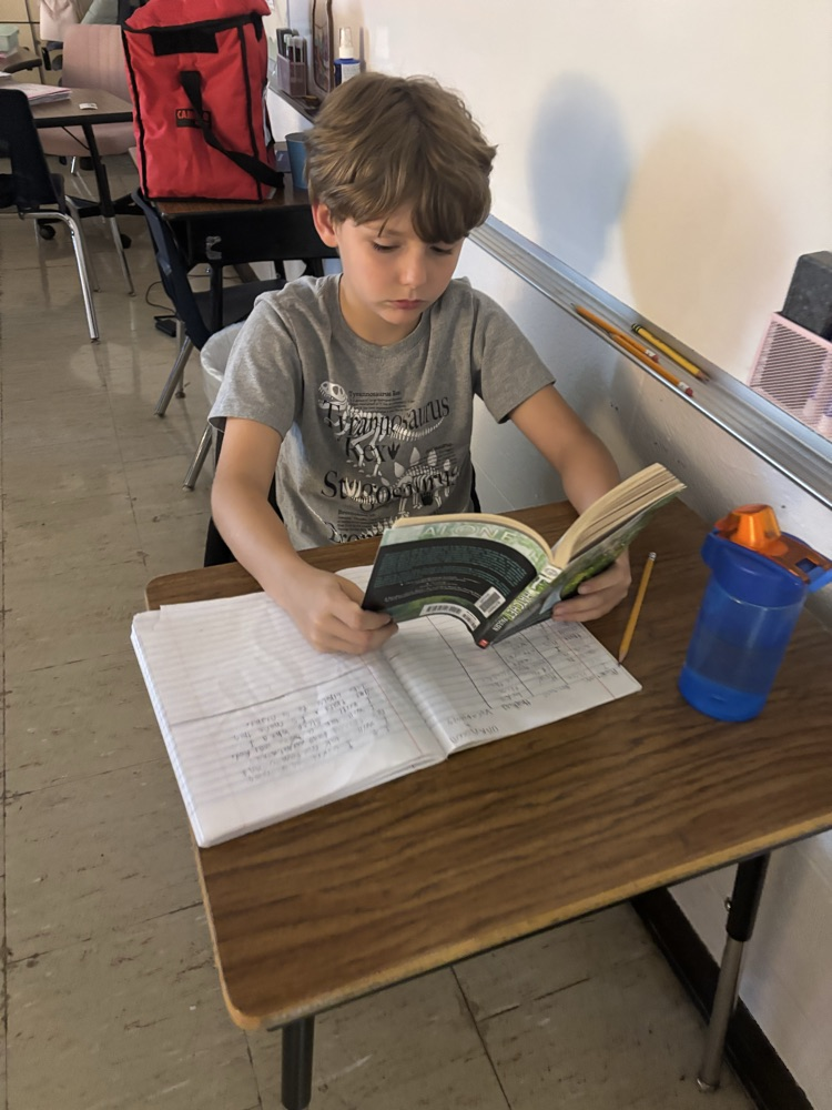 reading Hatchet