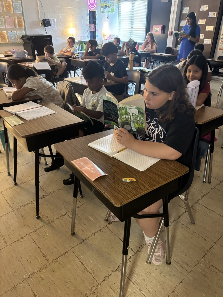 reading Hatchet