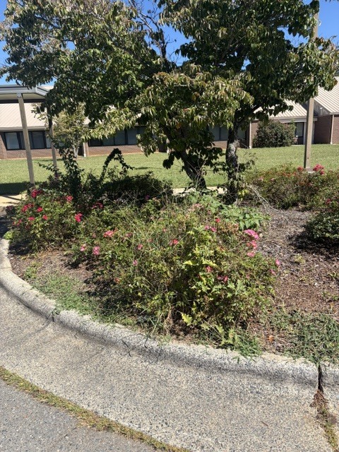 Farmer Elementary would like to say a big THANK YOU to Emily & Stella Hinesley for taking the time to tend to our flower boxes. This mother-daughter duo donated their time to pull weeds to help keep our school beautiful and we greatly appreciate it. Stella told her Mom that she was learning about citizenship in class and was proud to be taking part in positively impacting her community!