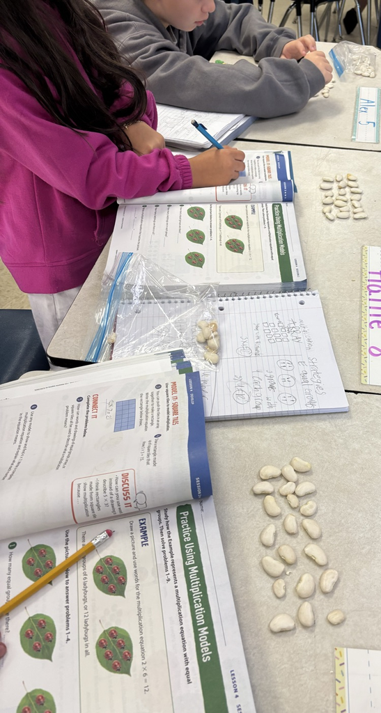 using beans as a math manipulative in third grade