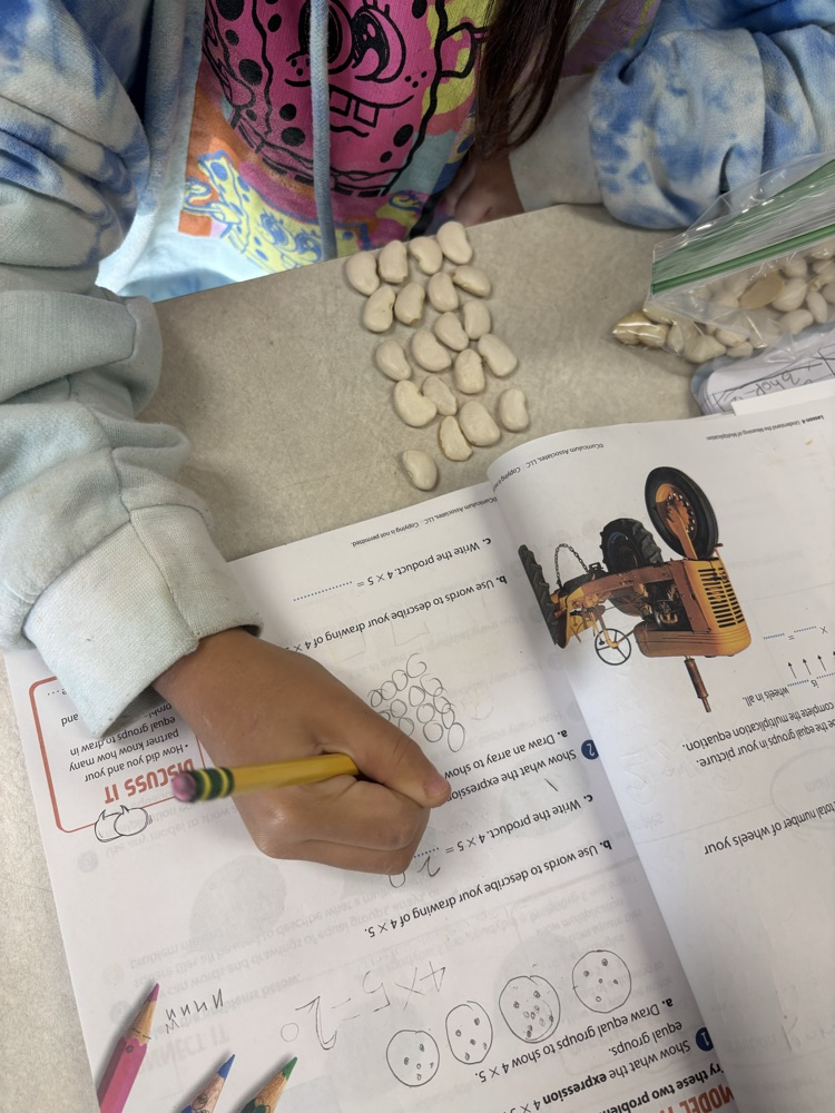 using beans as a math manipulative in third grade