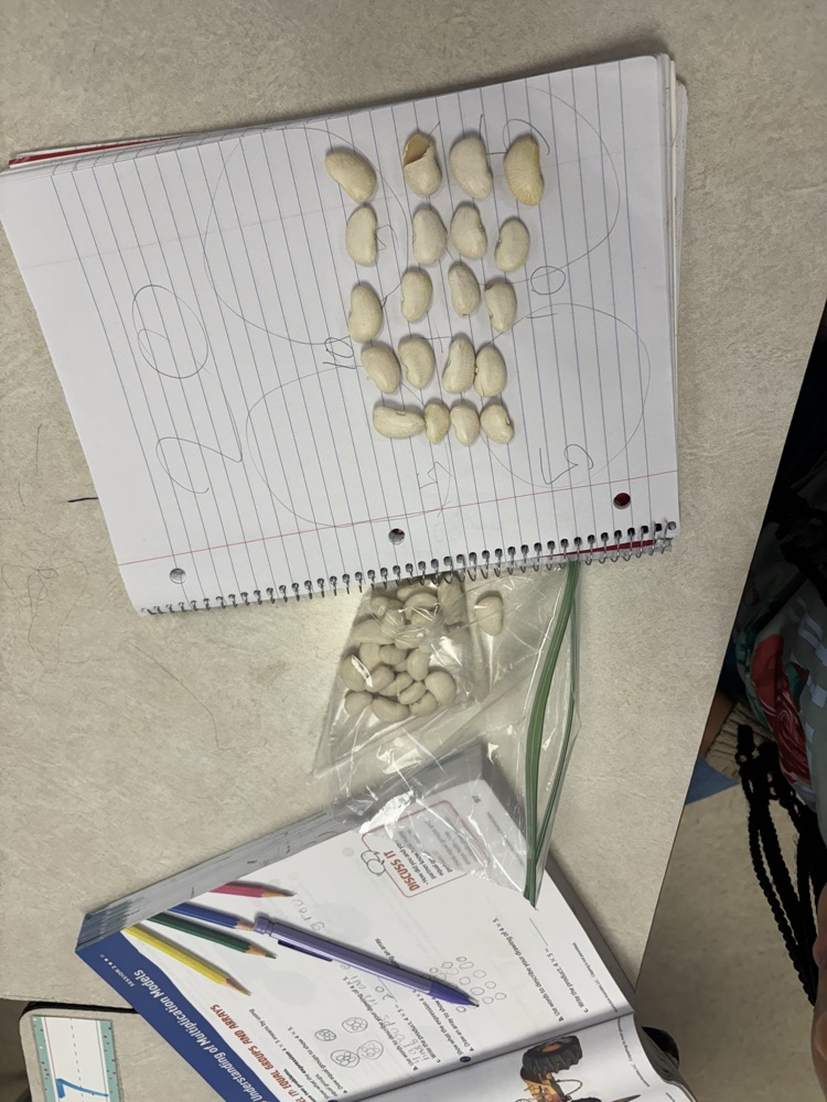 using beans as a math manipulative in third grade