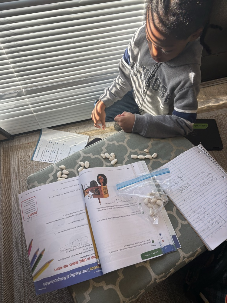 using beans as a math manipulative in third grade