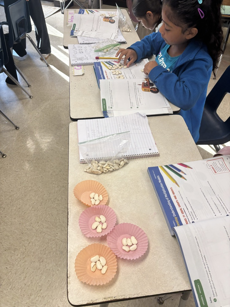 using beans as a math manipulative in third grade