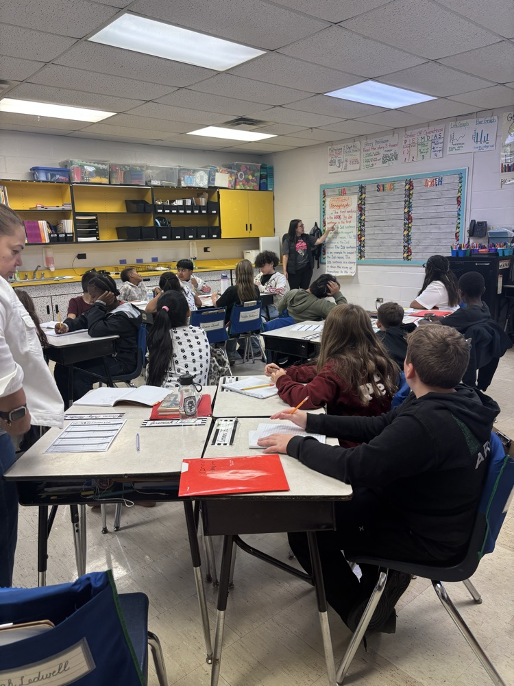 fifth graders conducting research