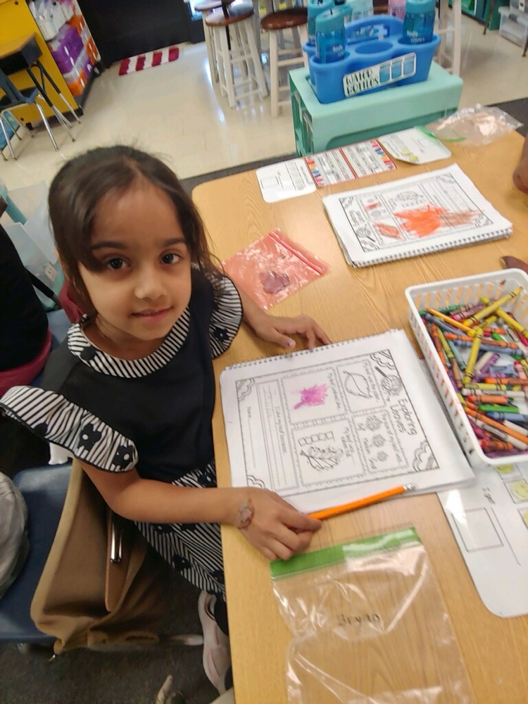 Leaf investigations in kindergarten