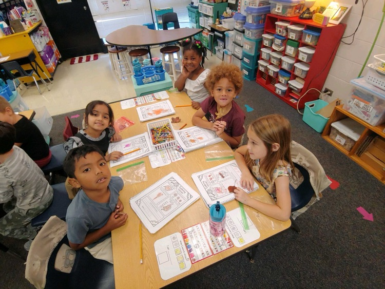 Leaf investigations in kindergarten
