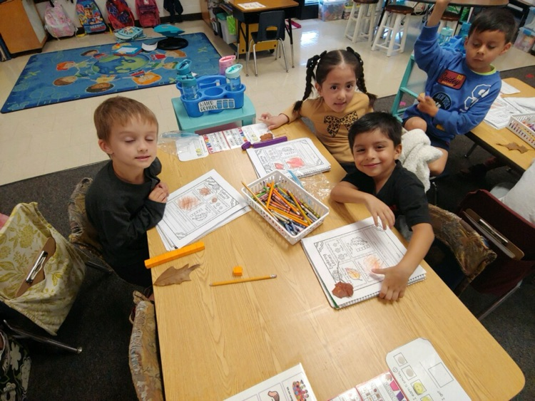 Leaf investigations in kindergarten