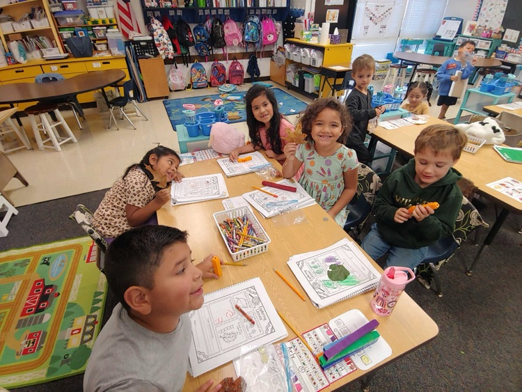 Leaf investigations in kindergarten