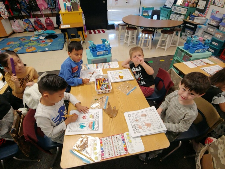 Leaf investigations in kindergarten