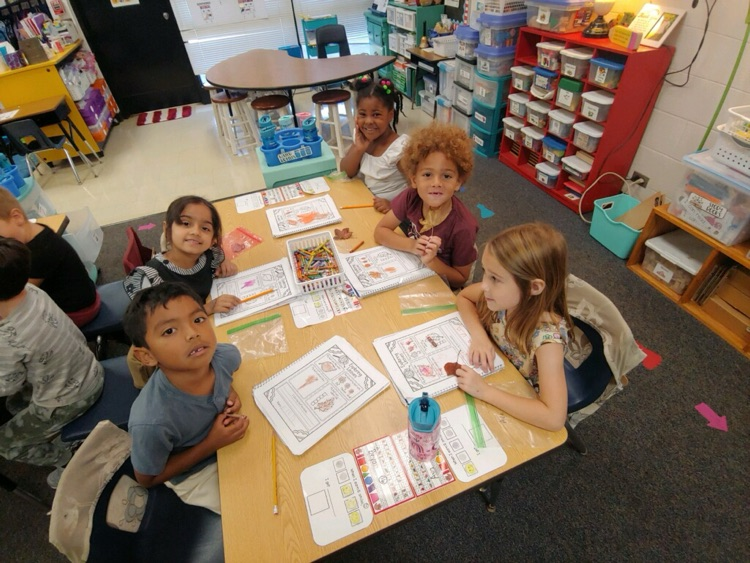 Leaf investigations in kindergarten