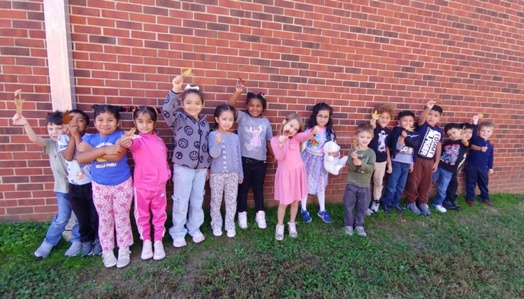 Leaf investigations in kindergarten