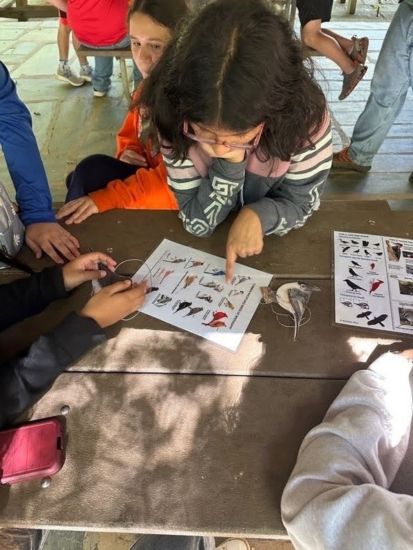 6th Graders Explore Park Careers with Hands-On Learning at Morrow Mountain