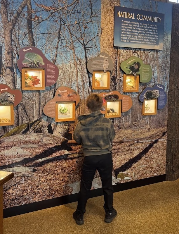 Sixth-Grade Field Trip Highlights Careers and Wildlife at Morrow Mountain