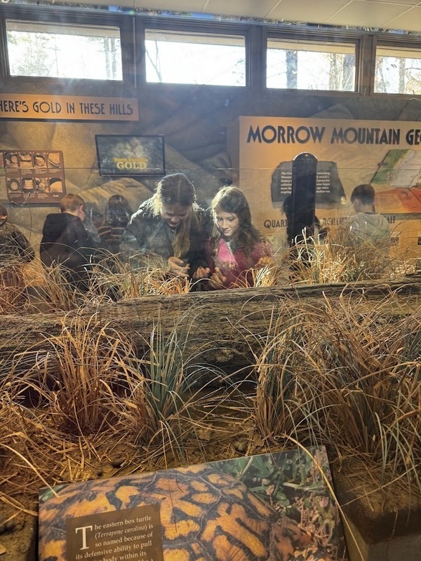 Sixth-Grade Field Trip Highlights Careers and Wildlife at Morrow Mountain