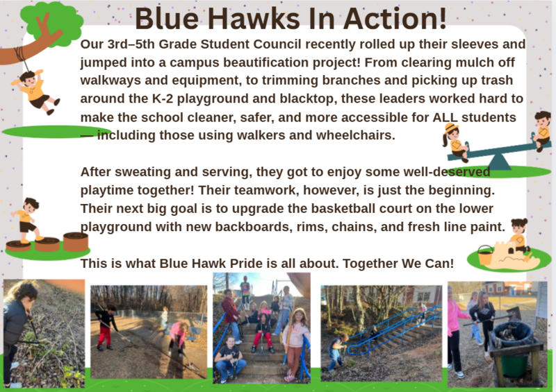 Blue Haws in Action!