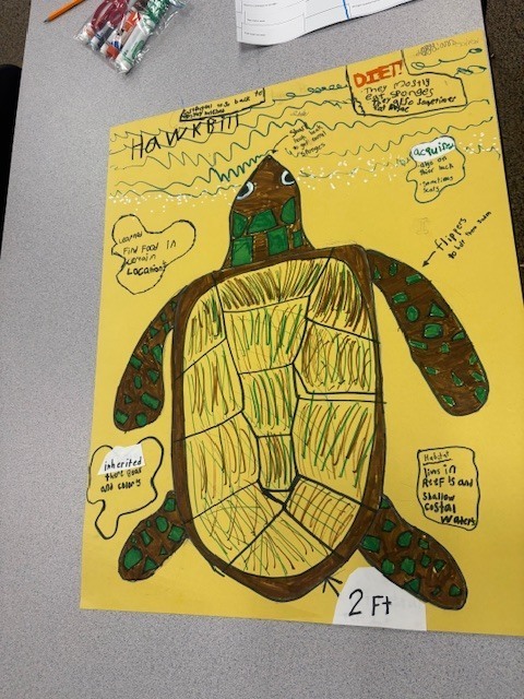 Sea Turtle Math & Science: An Immersive Cross-Curricular Learning Experience