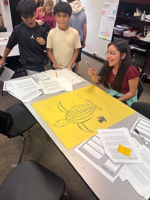 Sea Turtle Math & Science: An Immersive Cross-Curricular Learning Experience