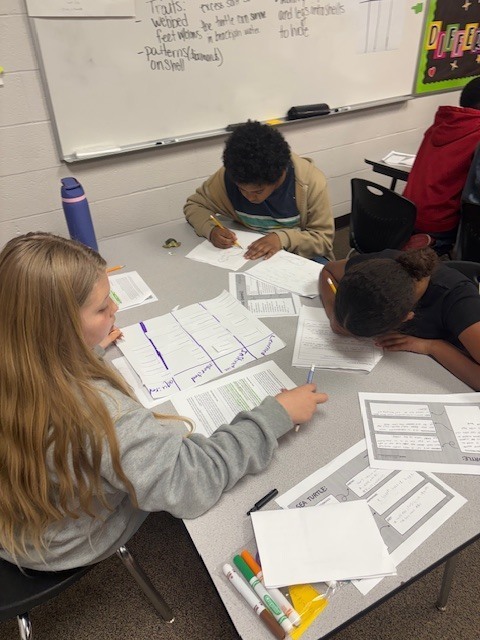 Sea Turtle Math & Science: An Immersive Cross-Curricular Learning Experience