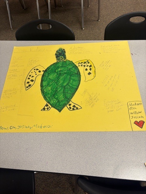 Sea Turtle Math & Science: An Immersive Cross-Curricular Learning Experience