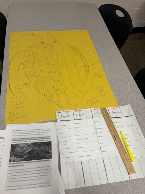 Sea Turtle Math & Science: An Immersive Cross-Curricular Learning Experience