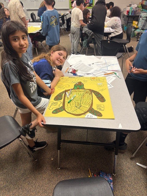 Sea Turtle Math & Science: An Immersive Cross-Curricular Learning Experience