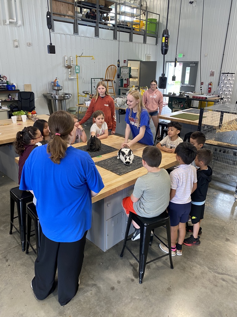 SHOWING OFF RABBITS TO STUDENTS