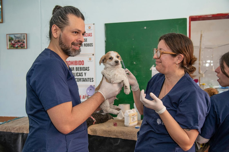 Animal Medical team with puppy