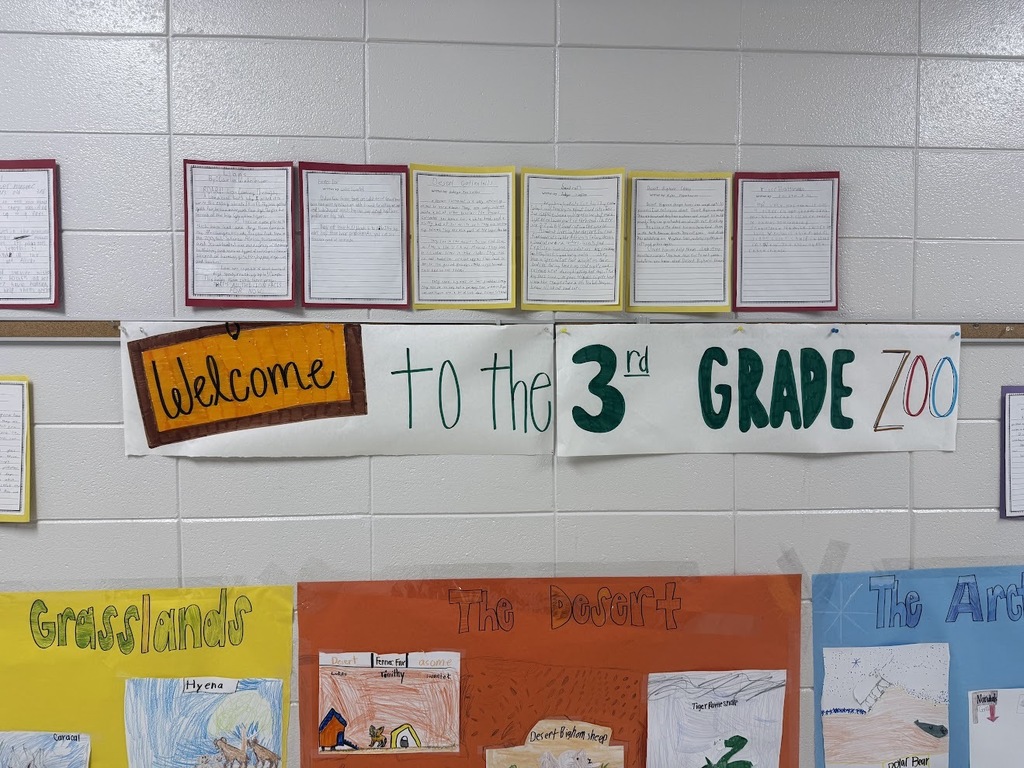 3rd grade zoo