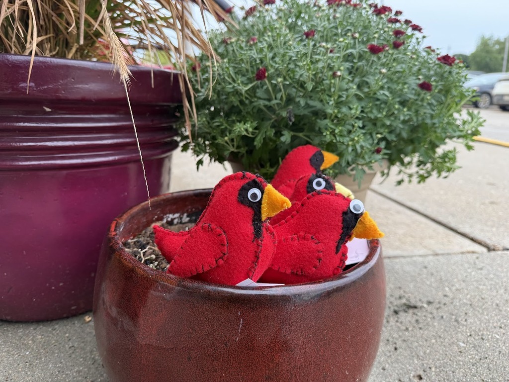 birds