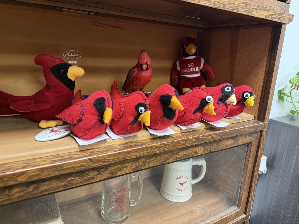 bird